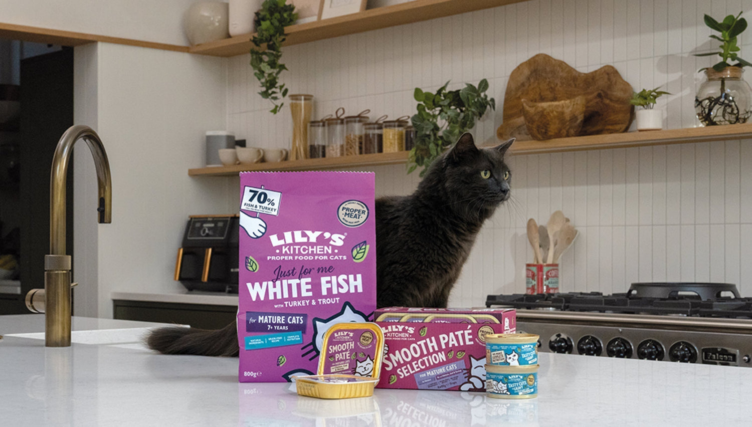 Feeding your senior cat