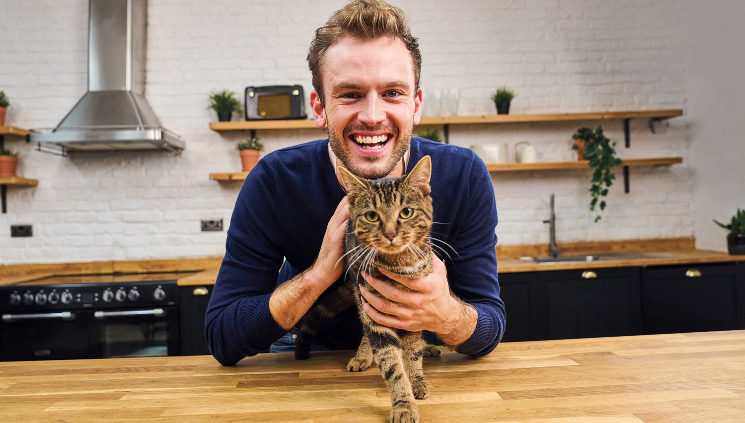 How to understand your cat's body language?