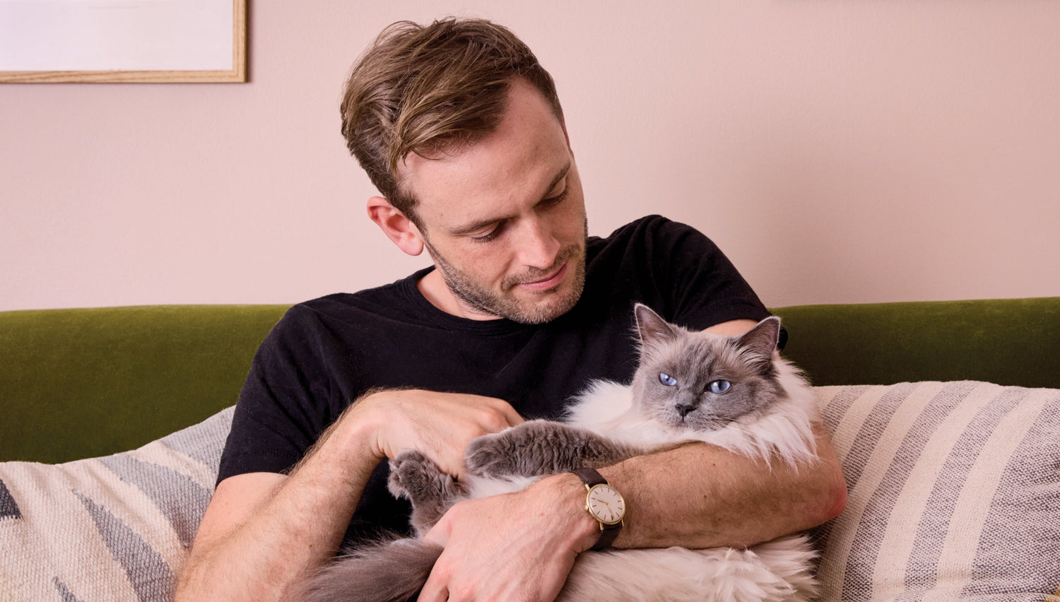 What to know when adopting a rescue cat