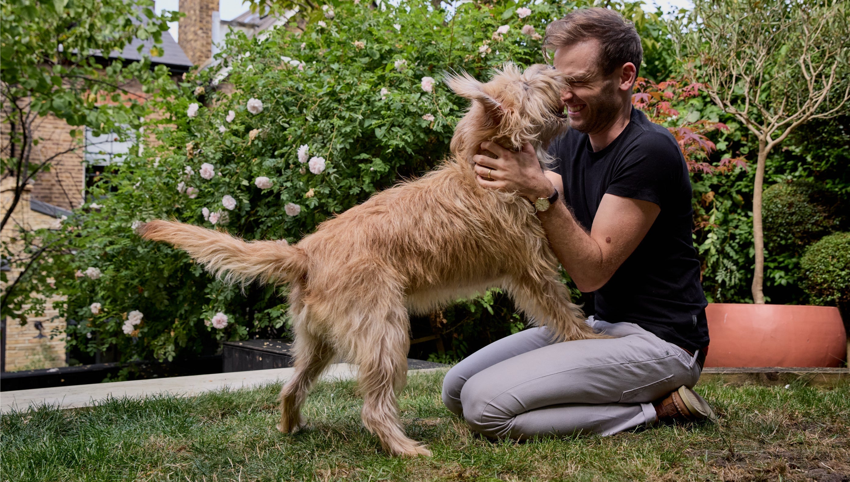 Why do dogs eat grass?