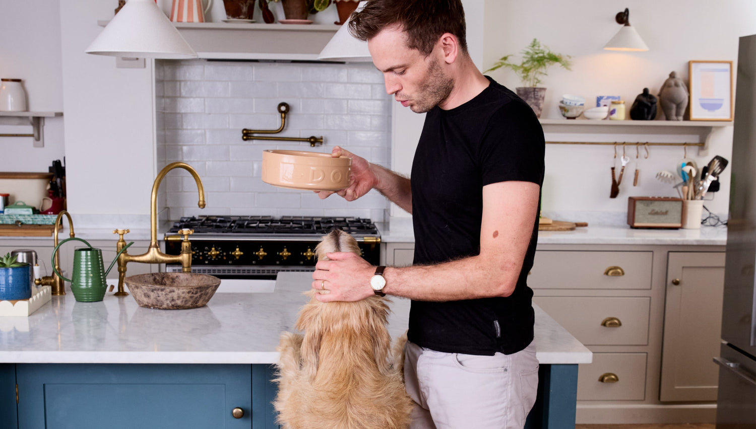 Foods your dog shouldn't eat