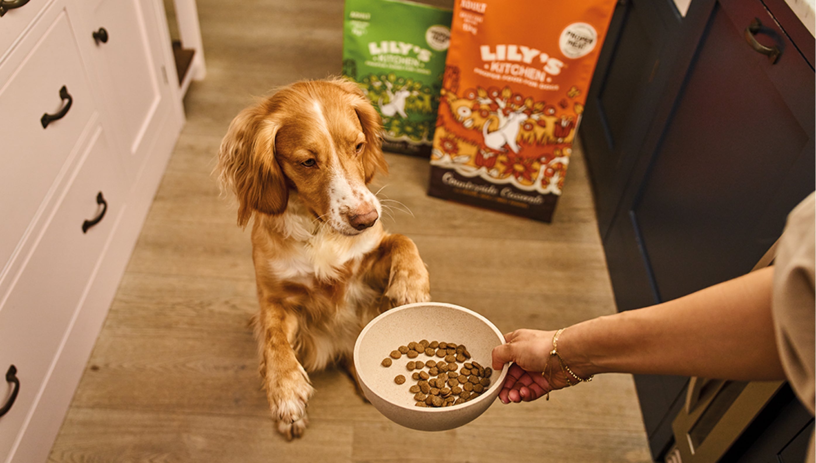 Guide to grain-free dog food