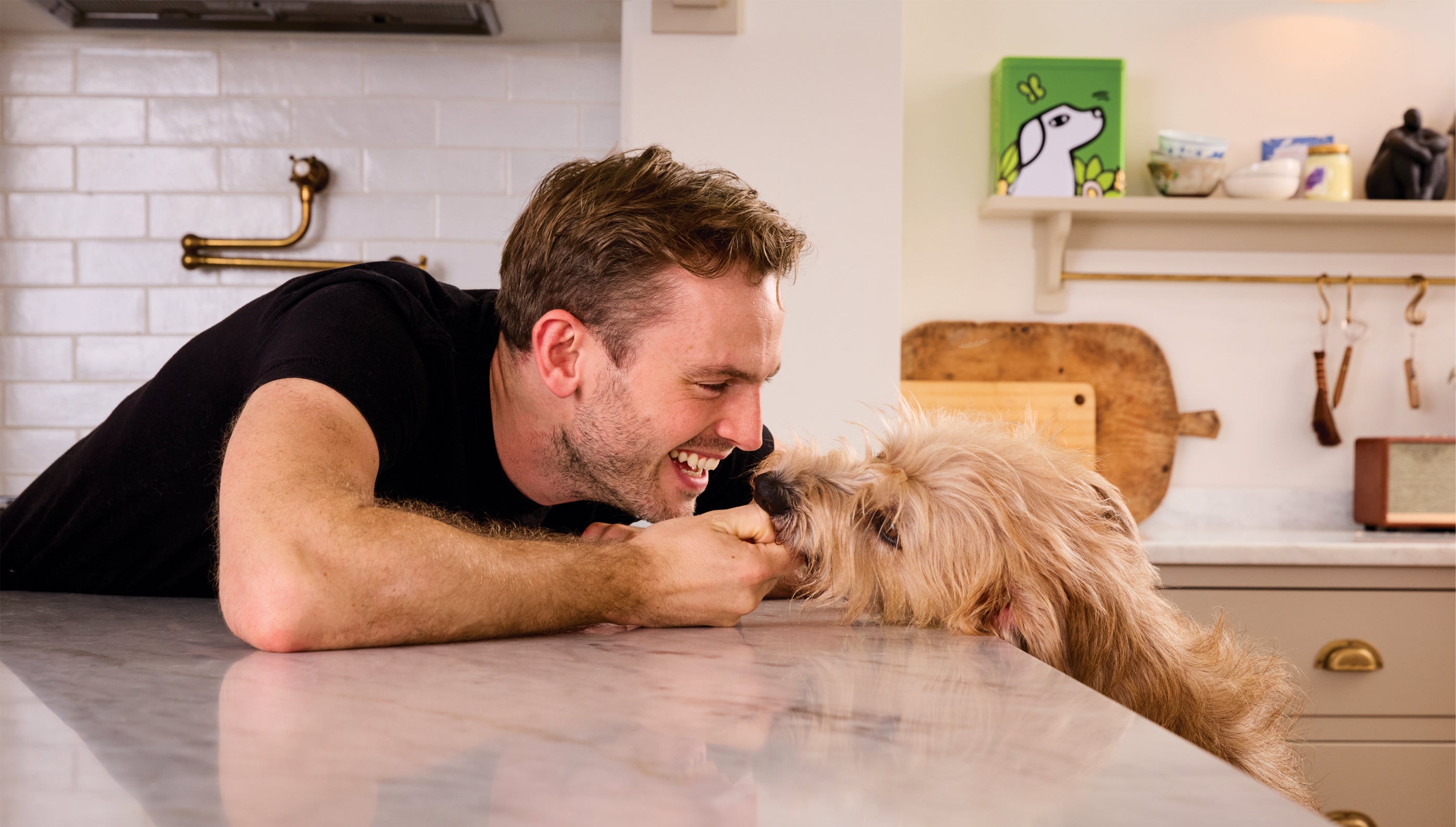 Puppy teething guide