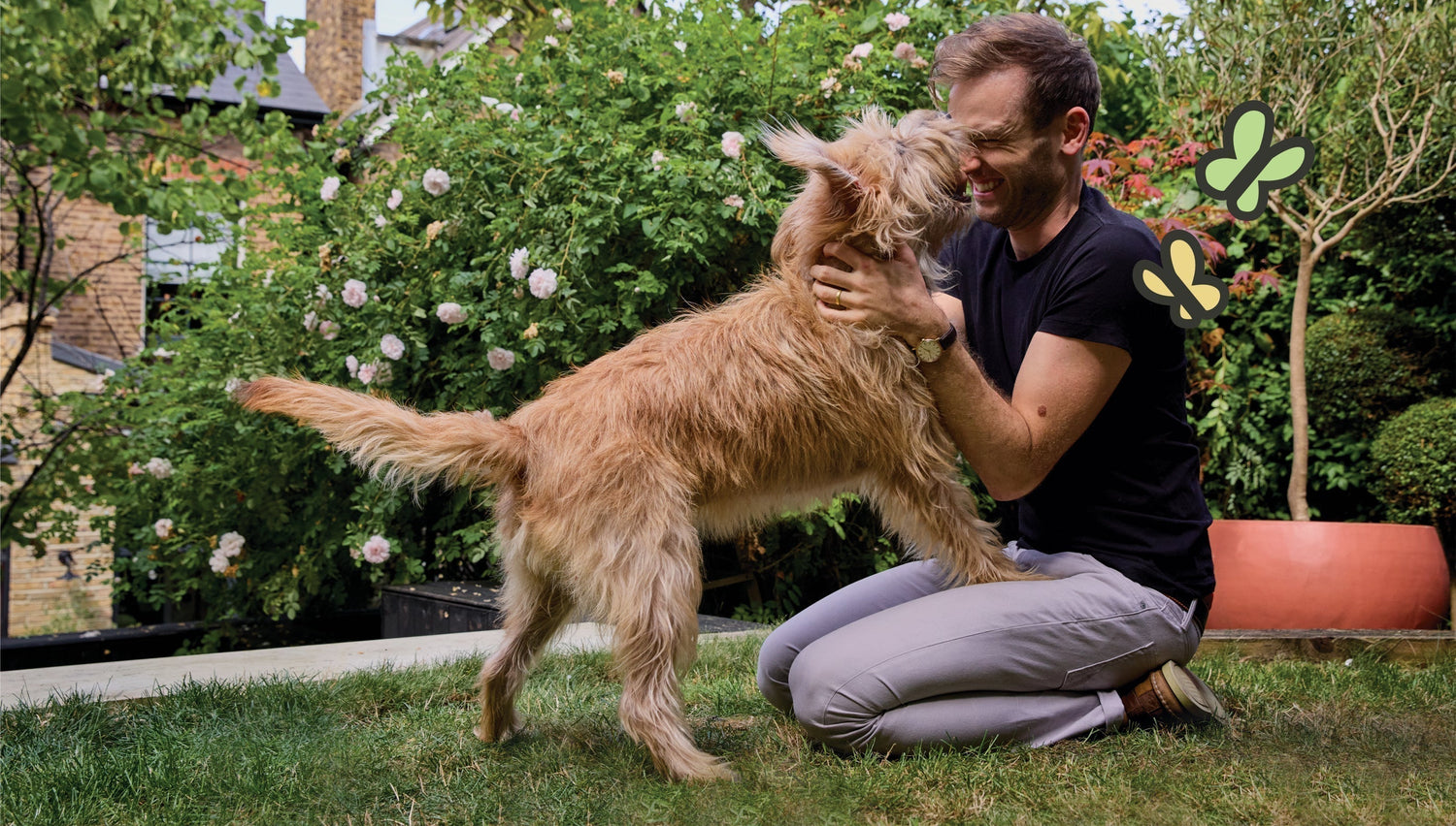 How often should you wash your dog?