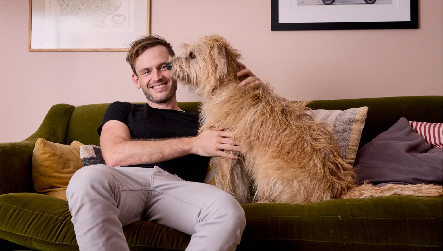 What to do if your dog is being sick