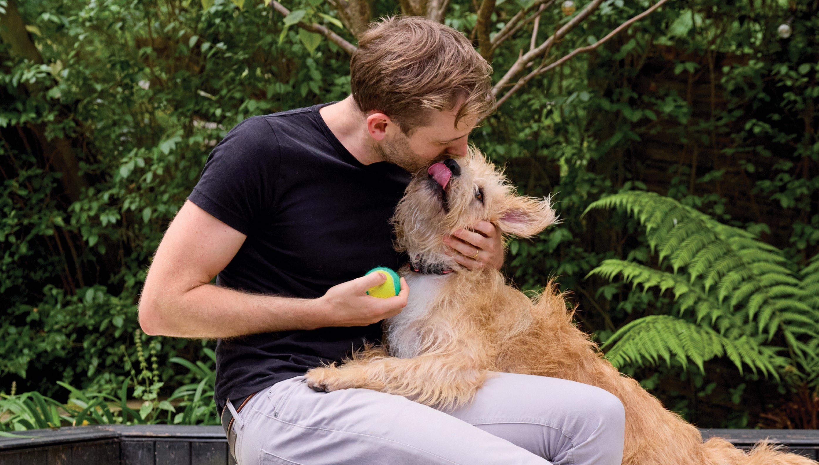 Why do dogs lick you?