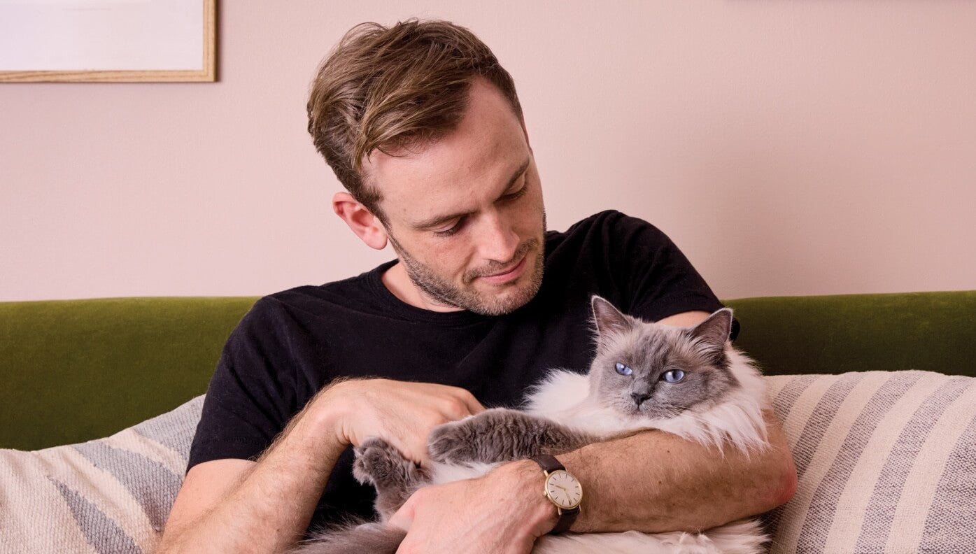 Rory the Vet holding a blue-eyed cat with text " why="" do="" cats="" knead?"