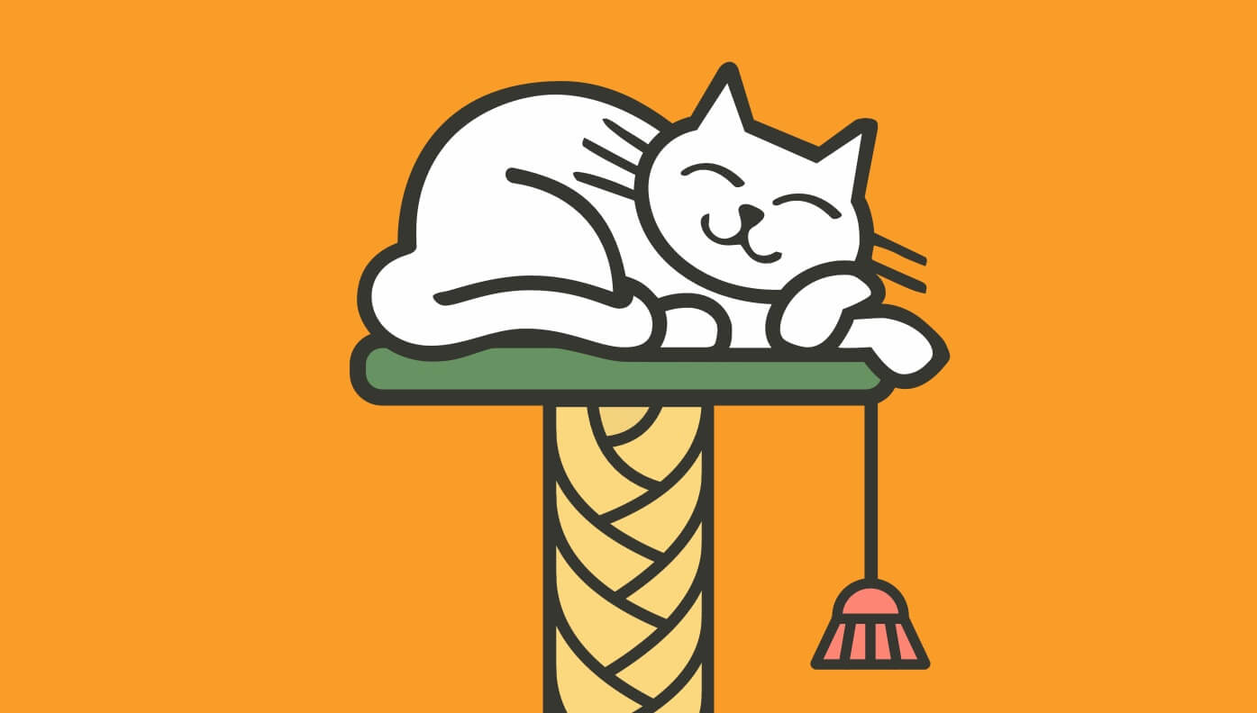 Why do cats like to sit up high?