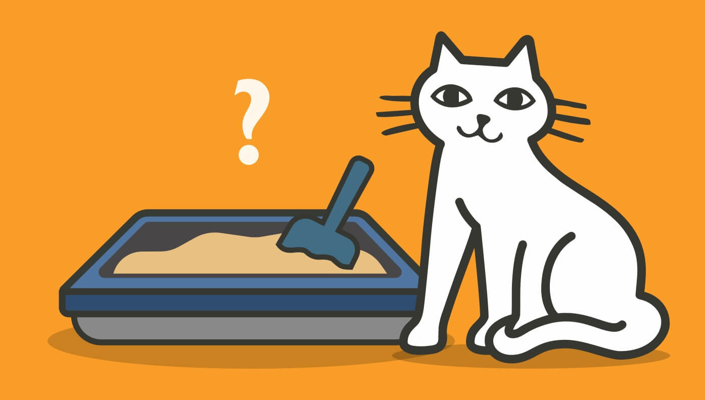 Why does my cat pee beside the litter box