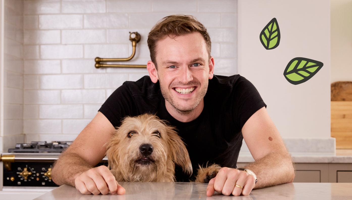How to check your dog's health at home