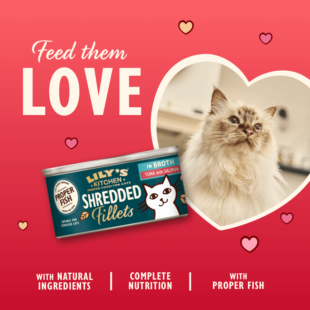 Tuna with Salmon Shredded Fillets in Broth (70g)