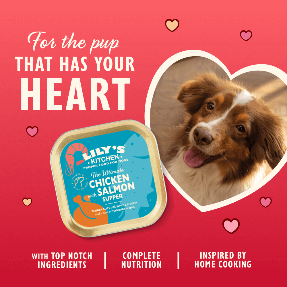 The Ultimate Chicken with Salmon Supper (150g)