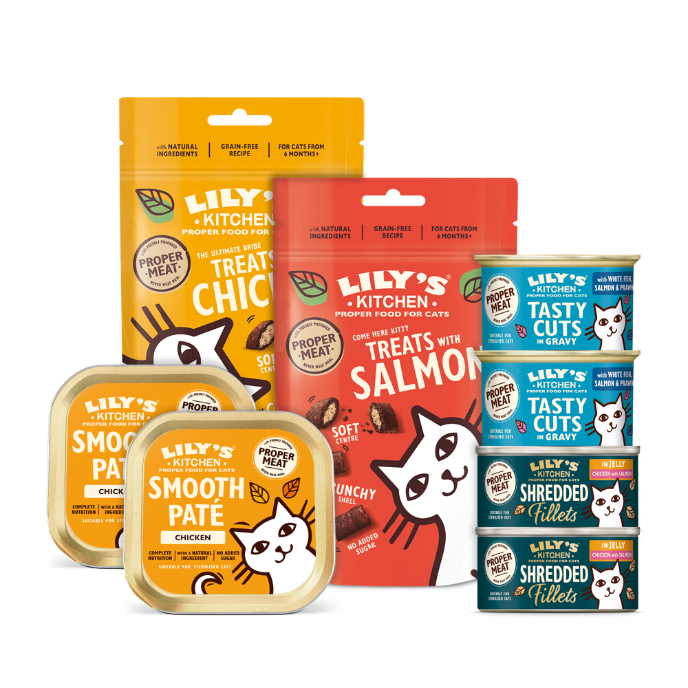 Texture Taster Treat Bundle