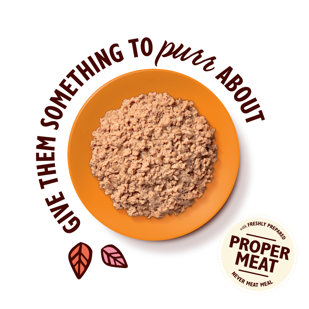 Chicken Paté (85g)