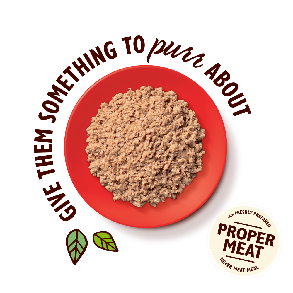 Organic Beef Paté (85g)