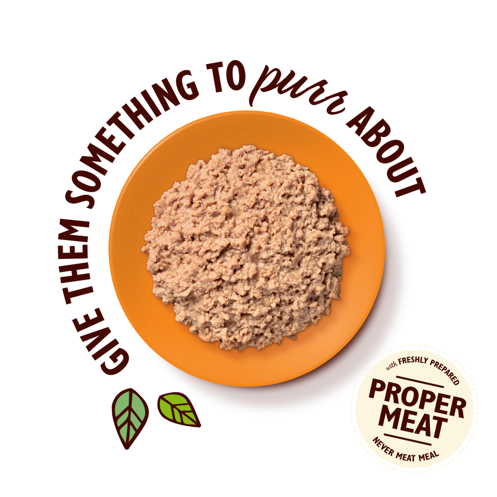Organic Chicken Paté (85g)