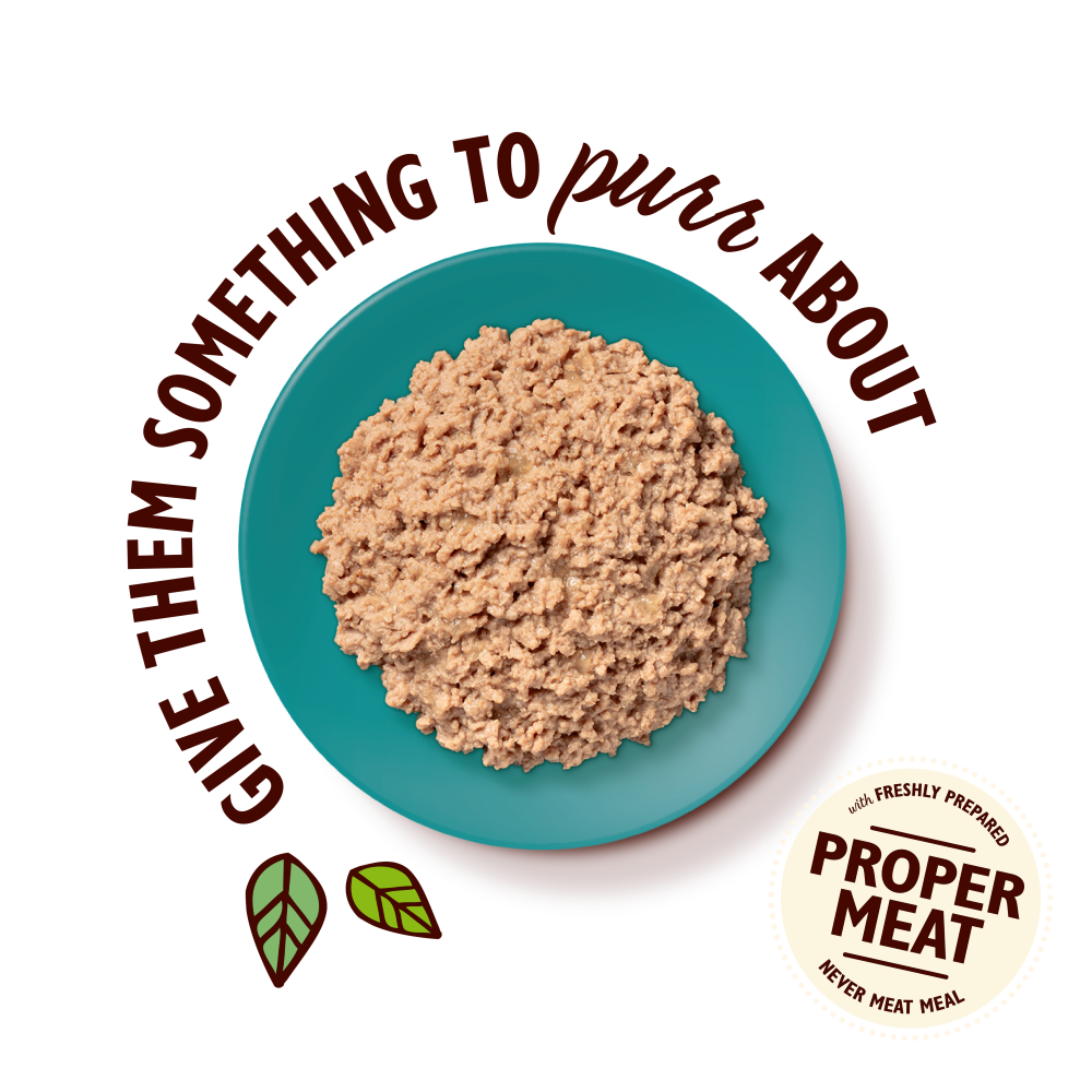 Organic Chicken with Fish Paté (85g)