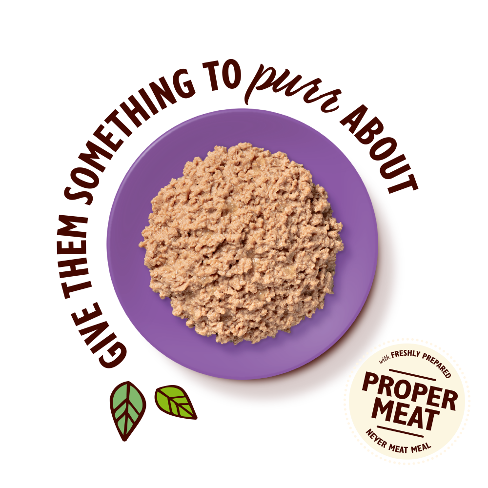 Organic Turkey Paté (85g)