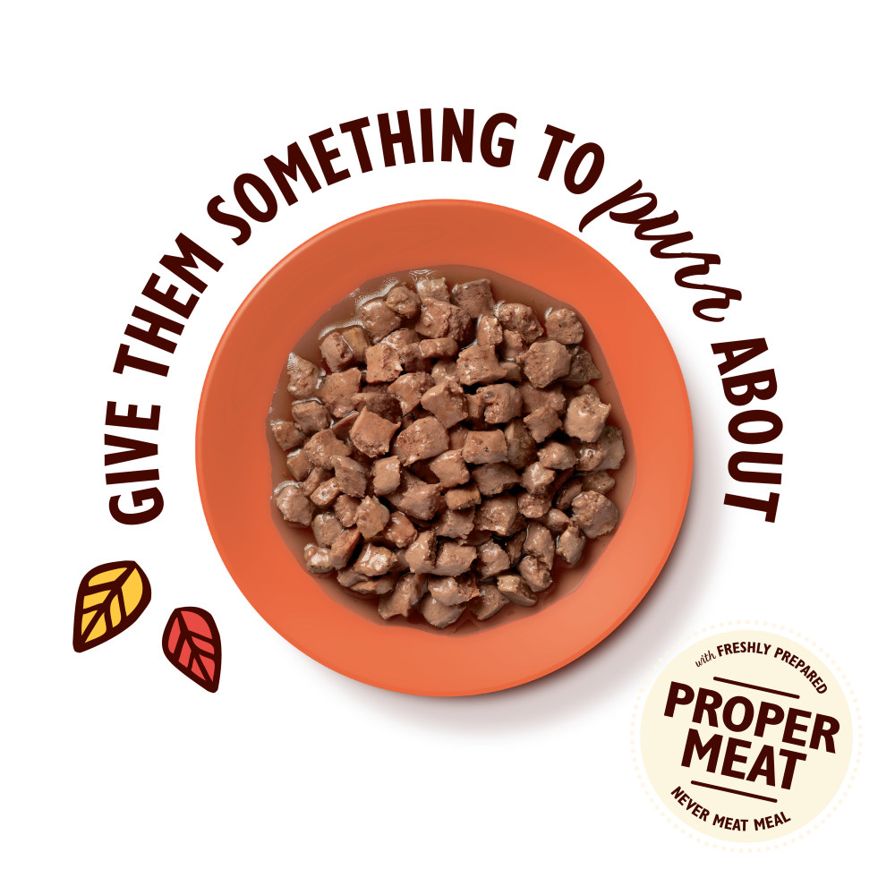 Chicken Tasty Cuts in Gravy (85g)