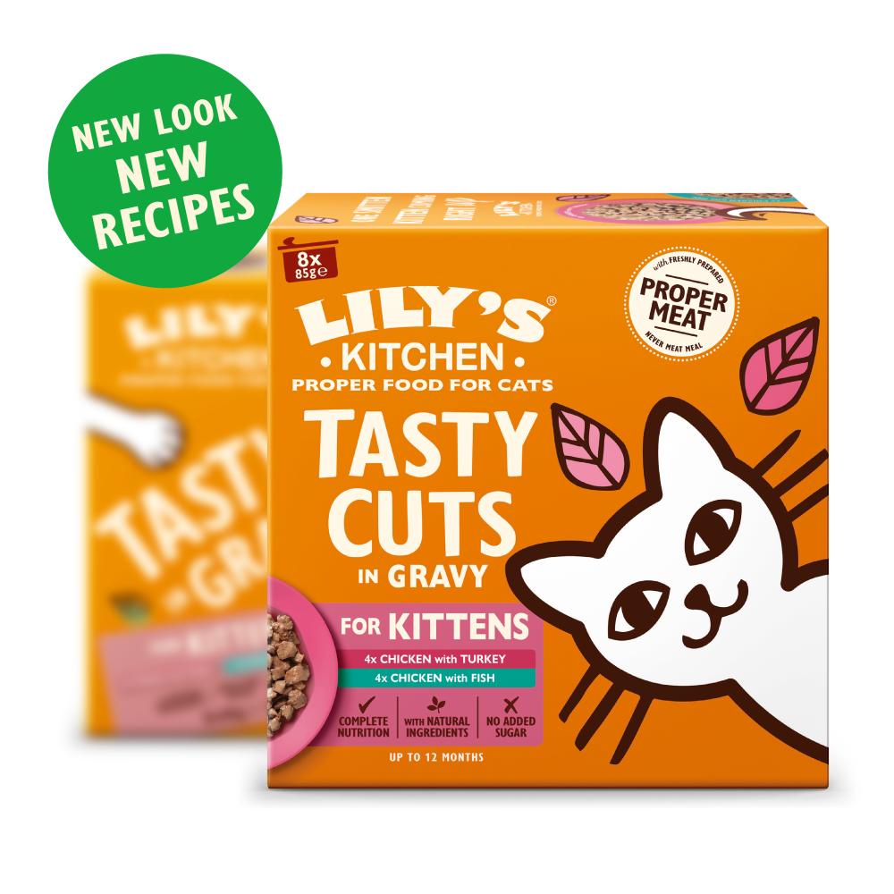 Kitten Tasty Cuts in Gravy Multipack (32 x 85g)