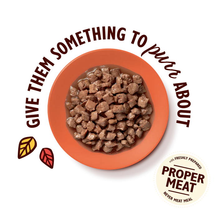 Large Texture Taster Bundle For Cats