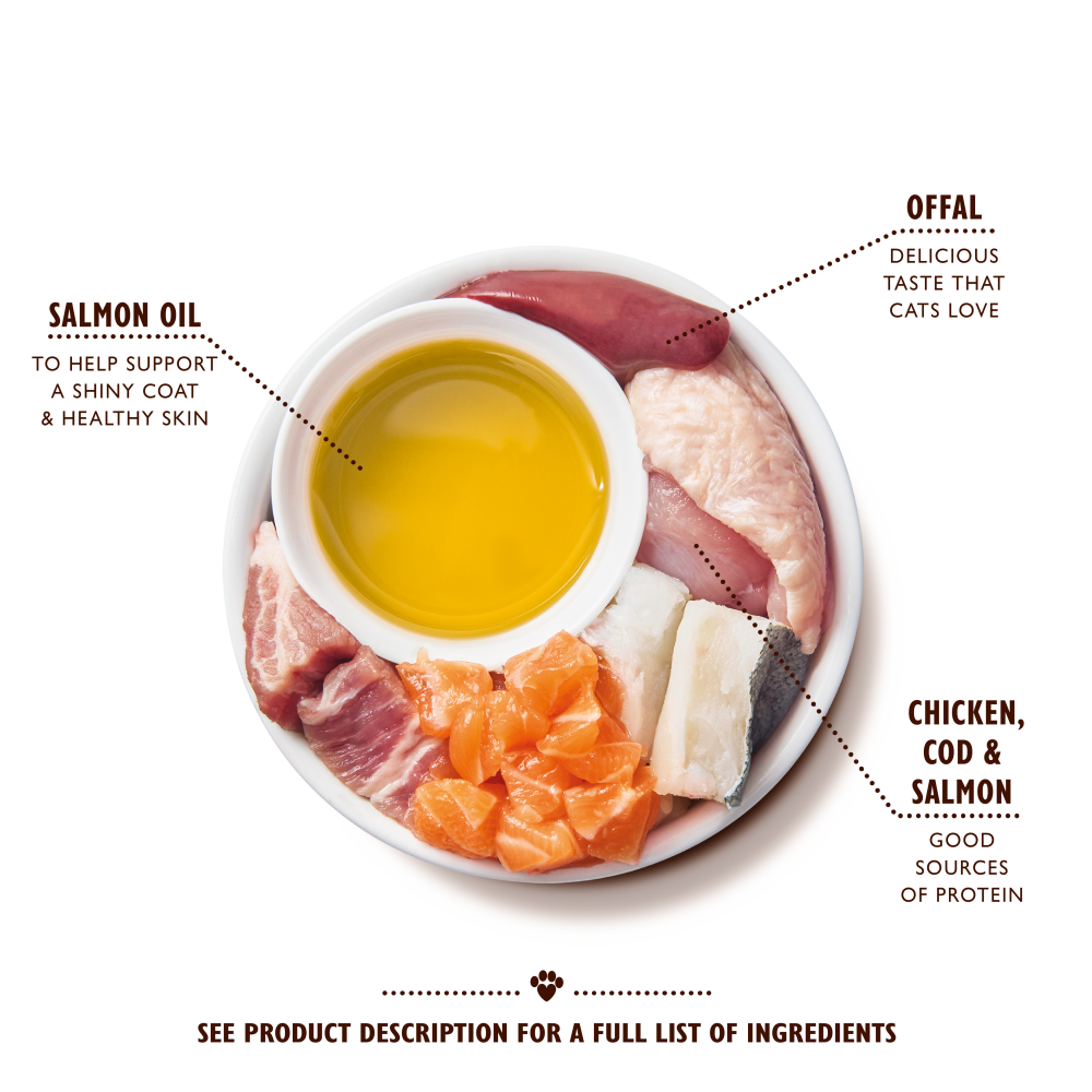 Paté with Chicken, Cod & Salmon for Kittens (85g)