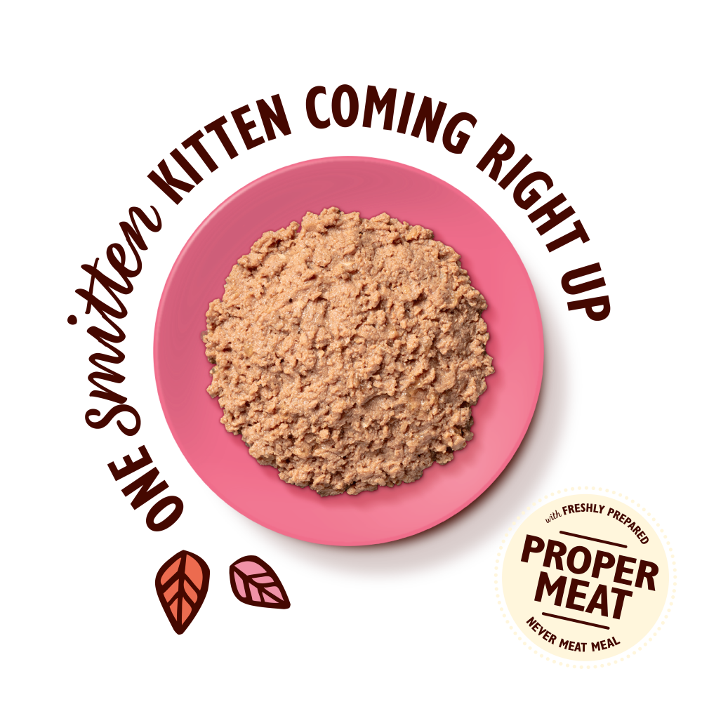 Chicken Paté for Kittens (85g)
