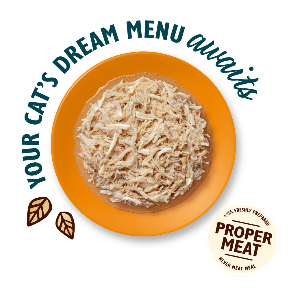 Shredded Fillets in Broth Multipack (8 x 70g)