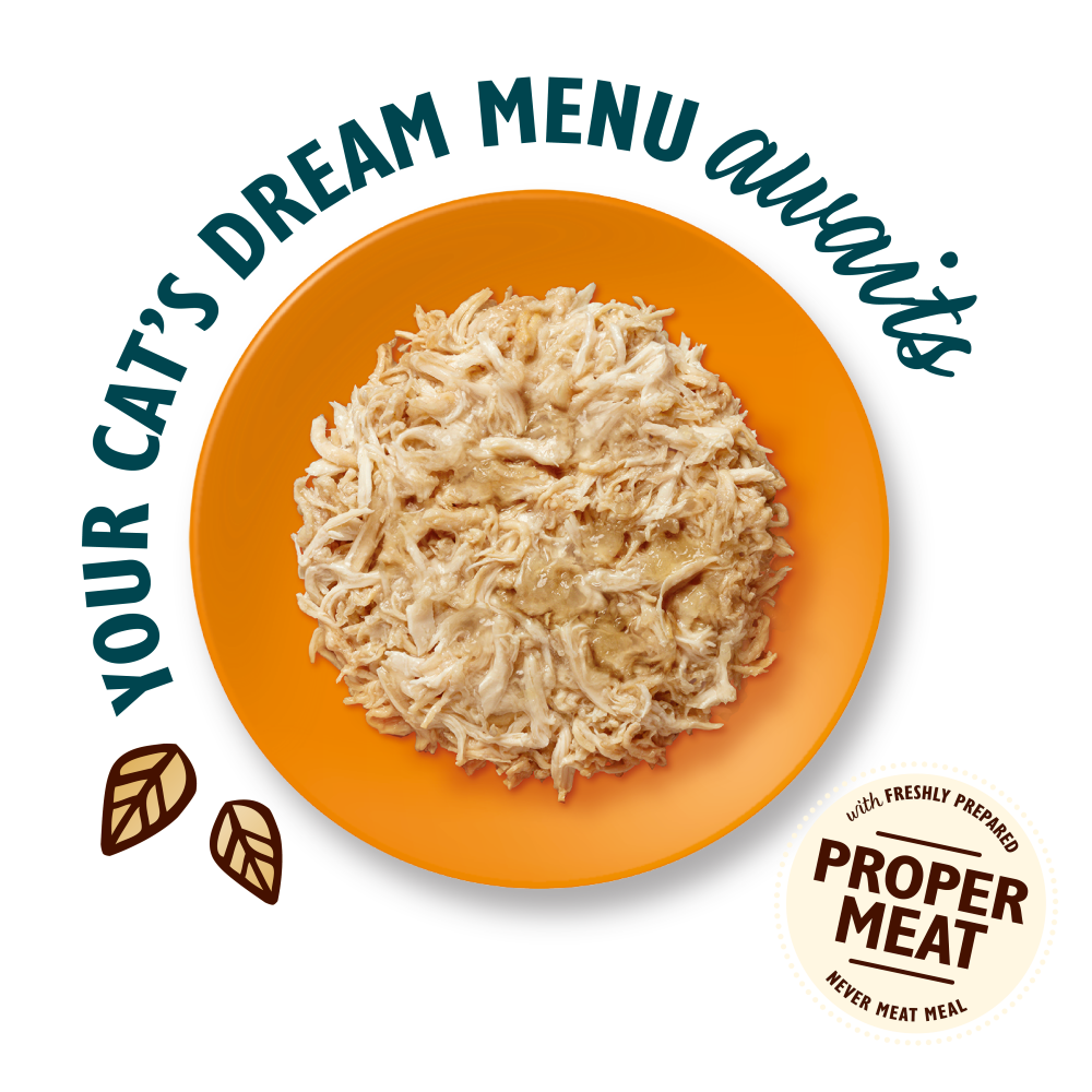 Chicken Shredded Fillets in Jelly (70g)