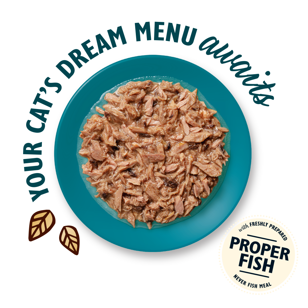 Shredded Fillets in Broth Multipack (8 x 70g)