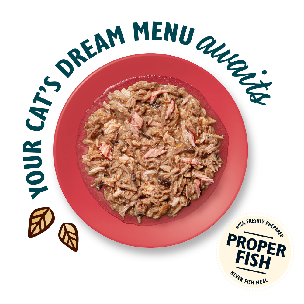 Shredded Fillets in Broth Multipack (8 x 70g)