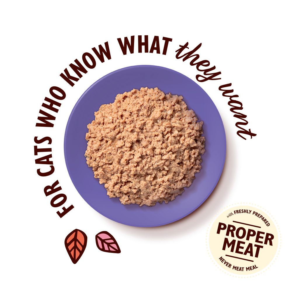Chicken Paté for Mature Cats (85g)