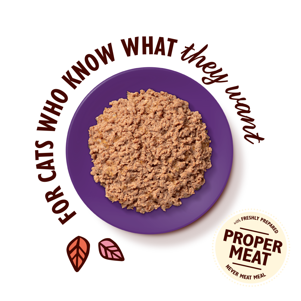 Chicken with Cod Paté for Mature Cats (19 x 85g)
