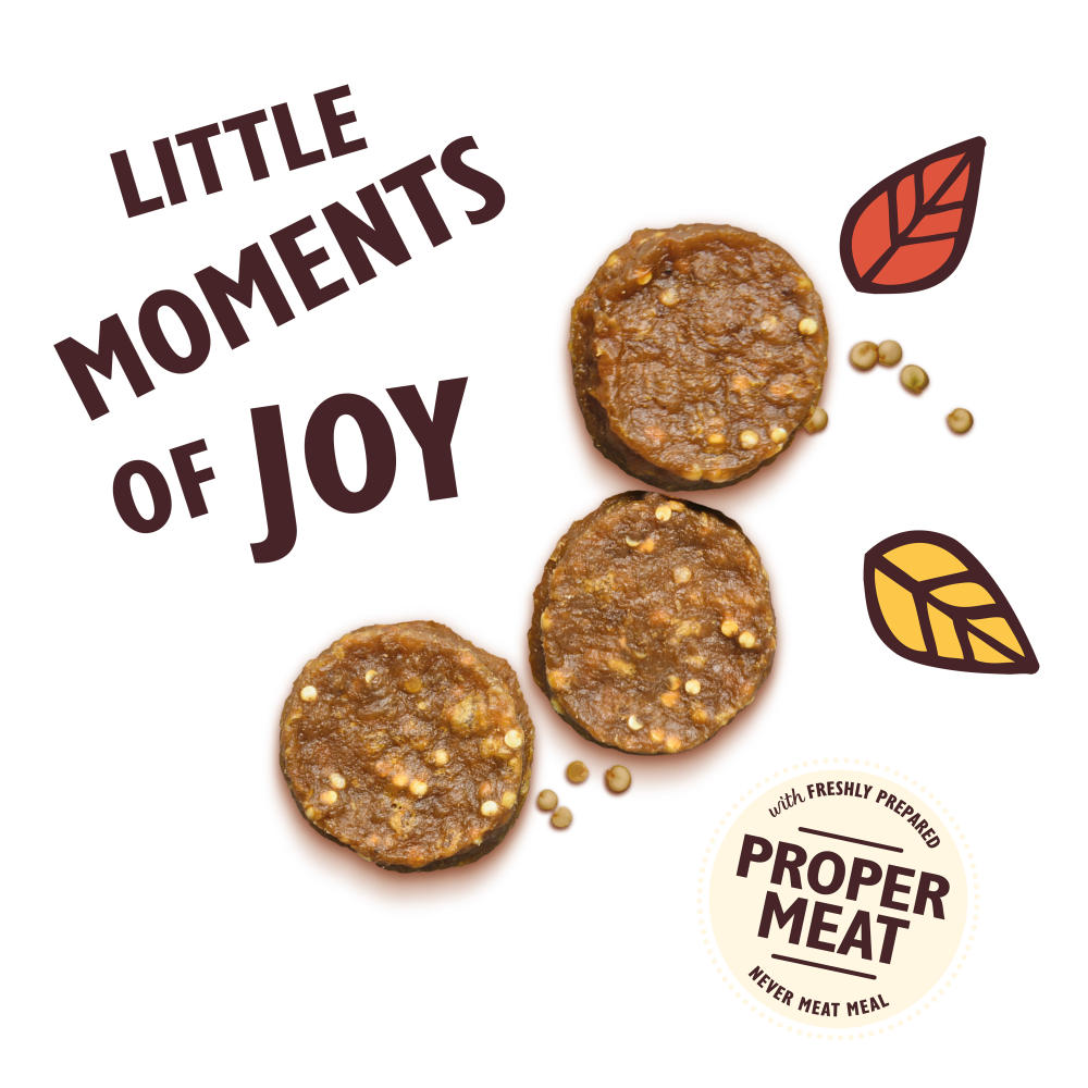 Chomp-Away Chicken Bites (70g)