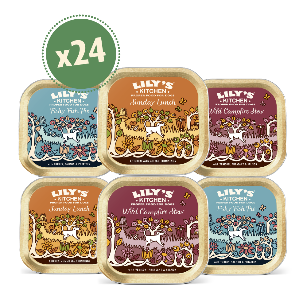 Grain Free Recipes Multipack (24 x 150g)