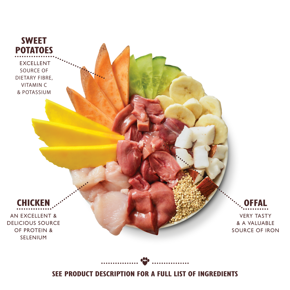 Carnival Chicken (400g)
