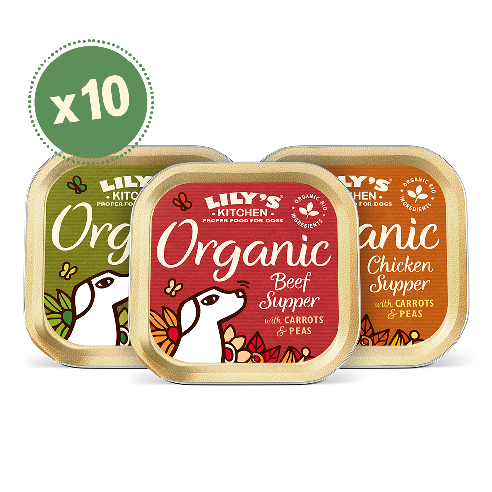 Organic Suppers Multipack For Dogs (10 x 150g) Lily's Kitchen