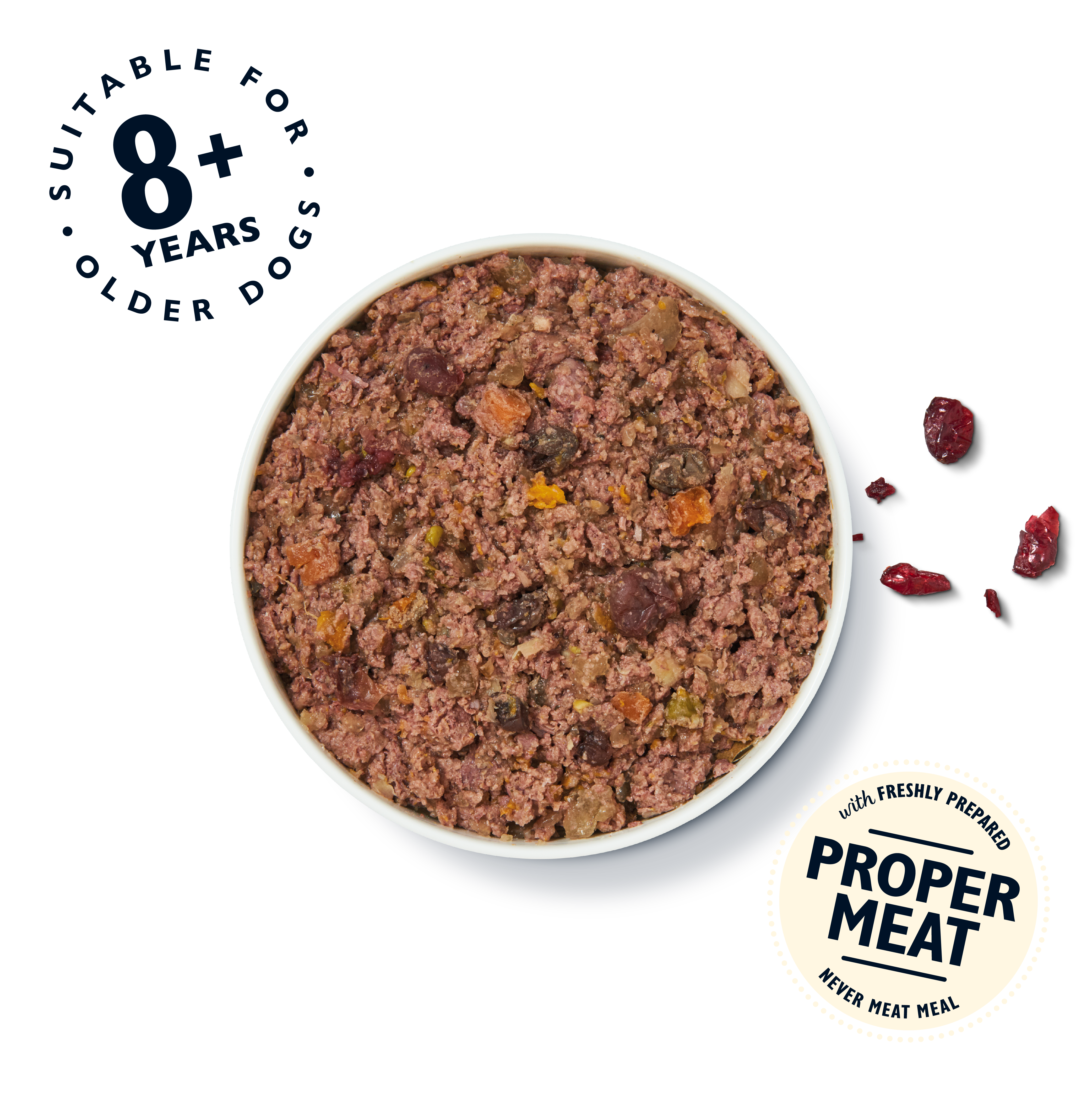 Senior Recipe for Older Dogs (10 x 150g)