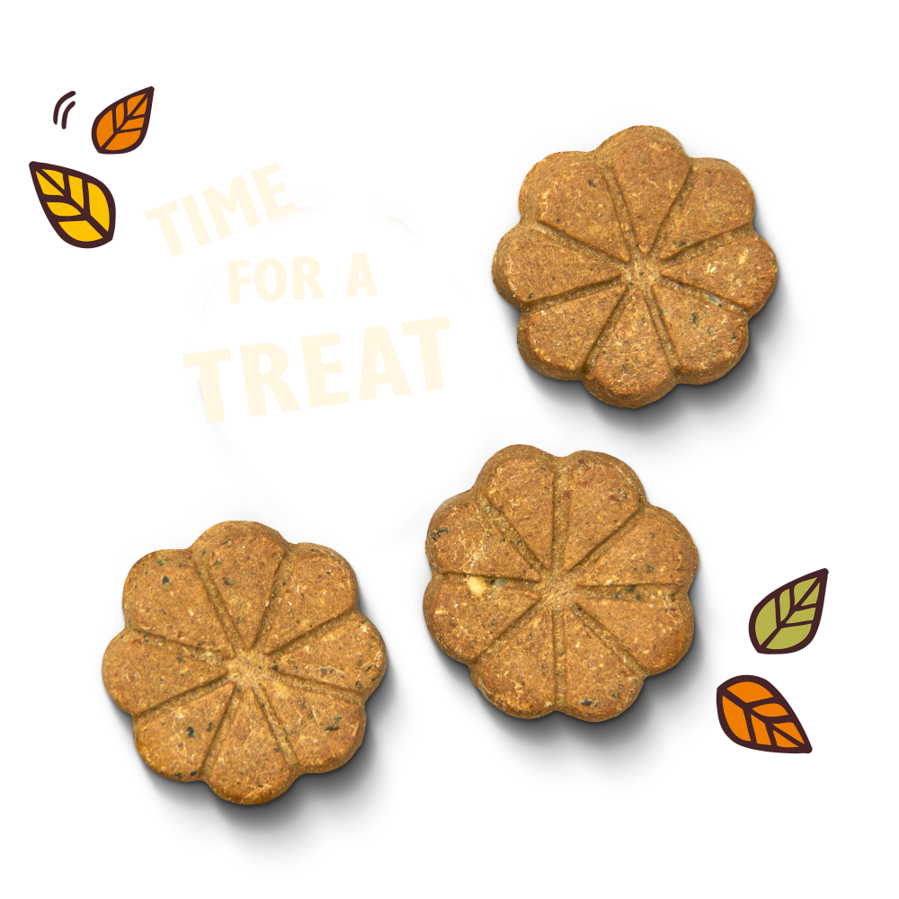 Breaktime Biscuits (80g)