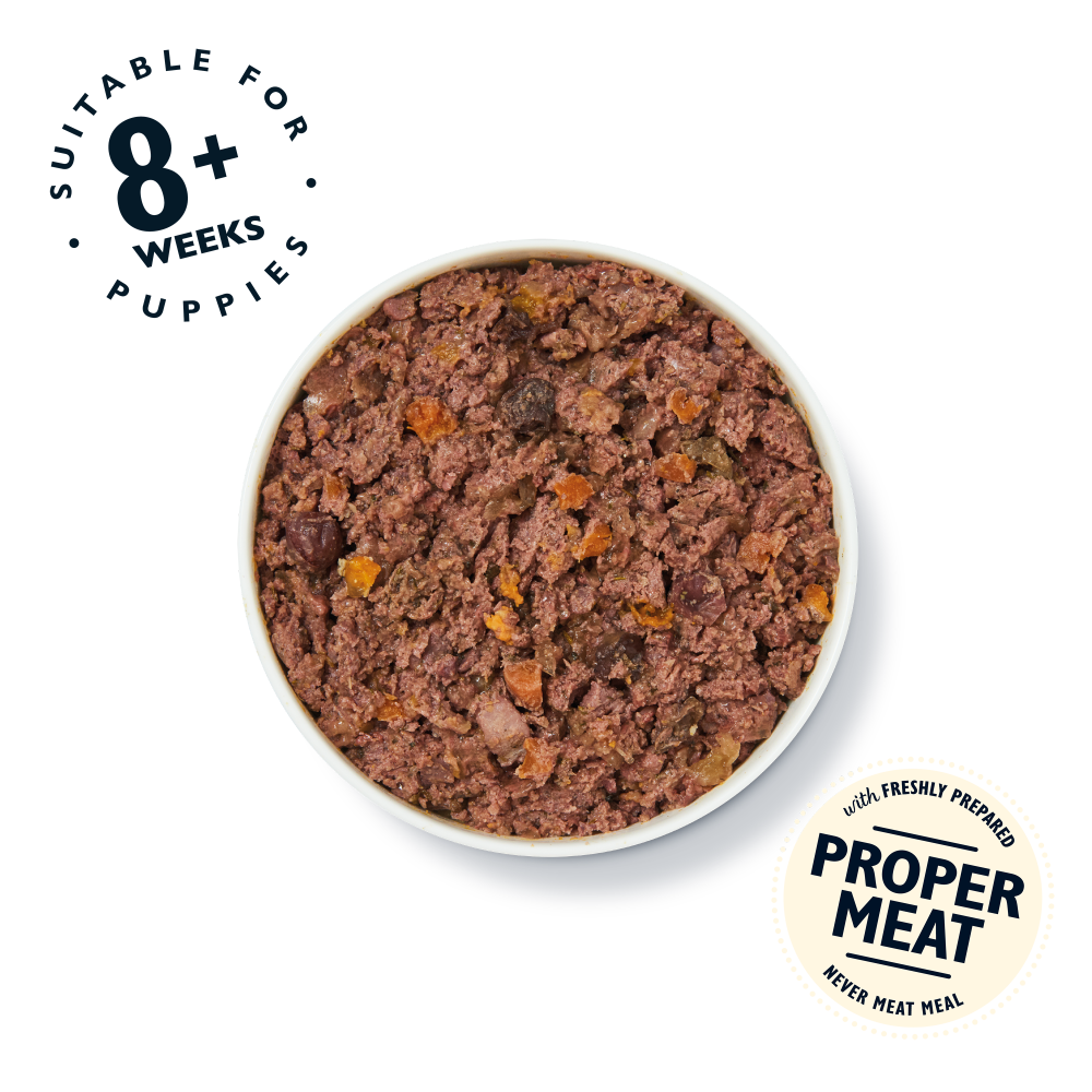 Turkey & Duck Puppy Recipe (400g)