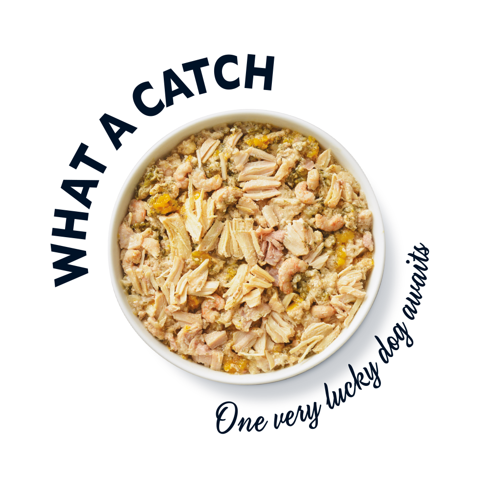 Our Ultimate Dinners Bundle for Foodie Dogs (3 x 150g)