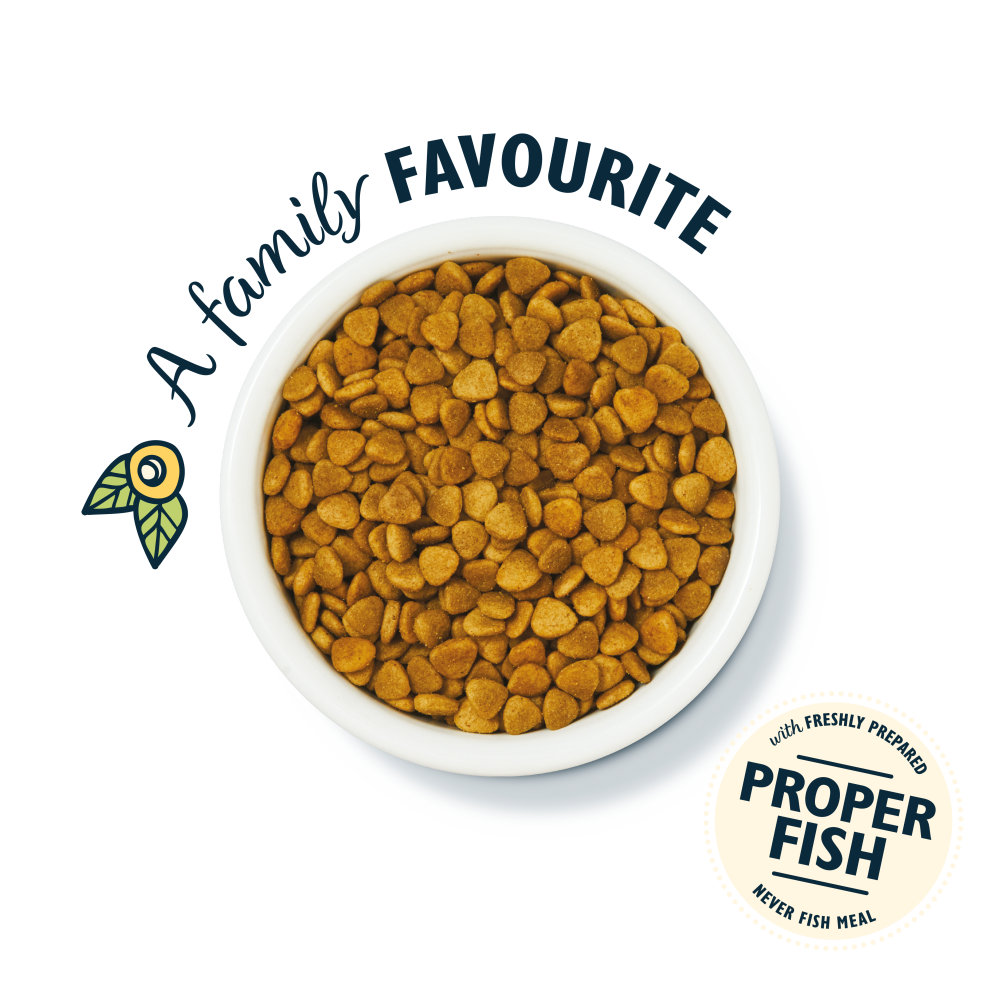 White Fish with Salmon Dry Food (4 x 800g)