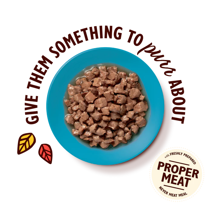 Texture Taster Treat Bundle