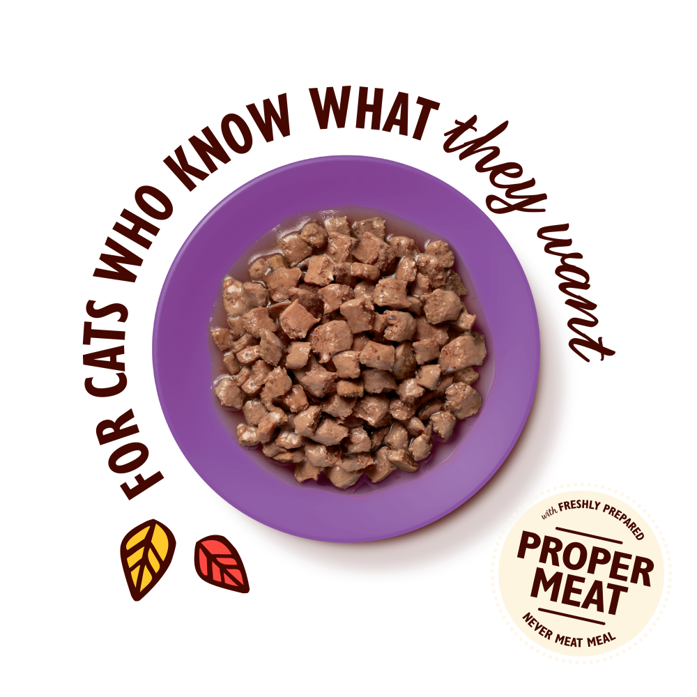 Chicken with Fish Tasty Cuts in Gravy for Mature Cats (85g)