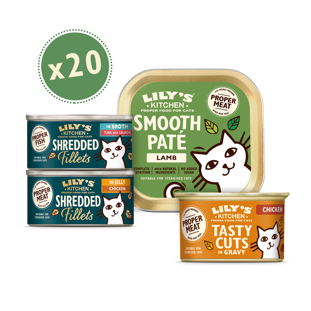 Large Texture Taster Bundle For Cats