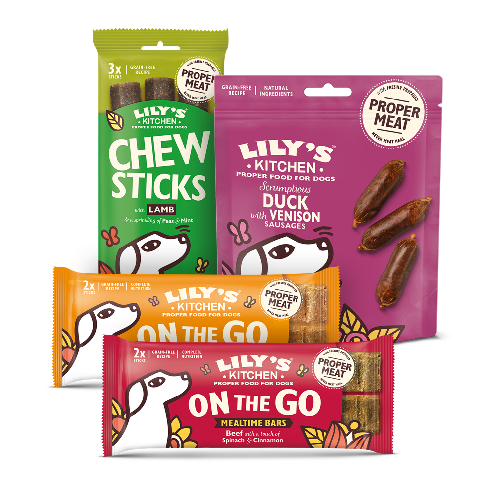 Day Out Bundle for Dogs
