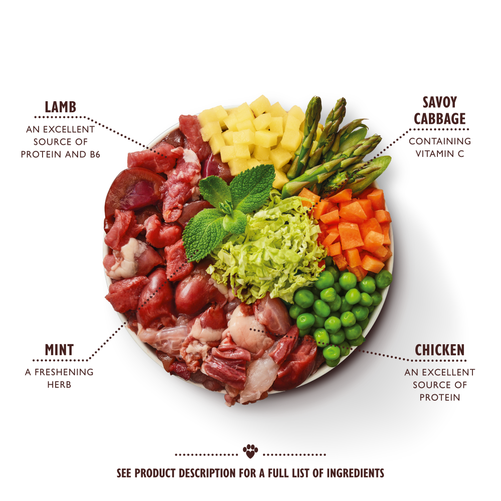 Springtime Stew (10 x 150g)