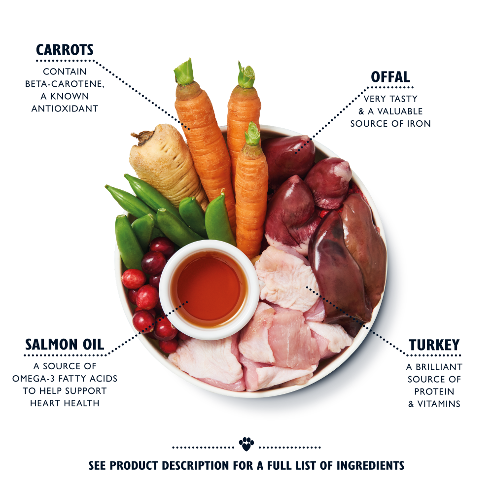 Senior Recipe for Older Dogs (6 x 400g)