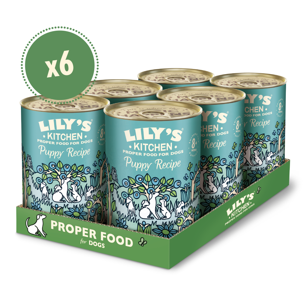 Turkey & Duck Puppy Recipe (6 x 400g)