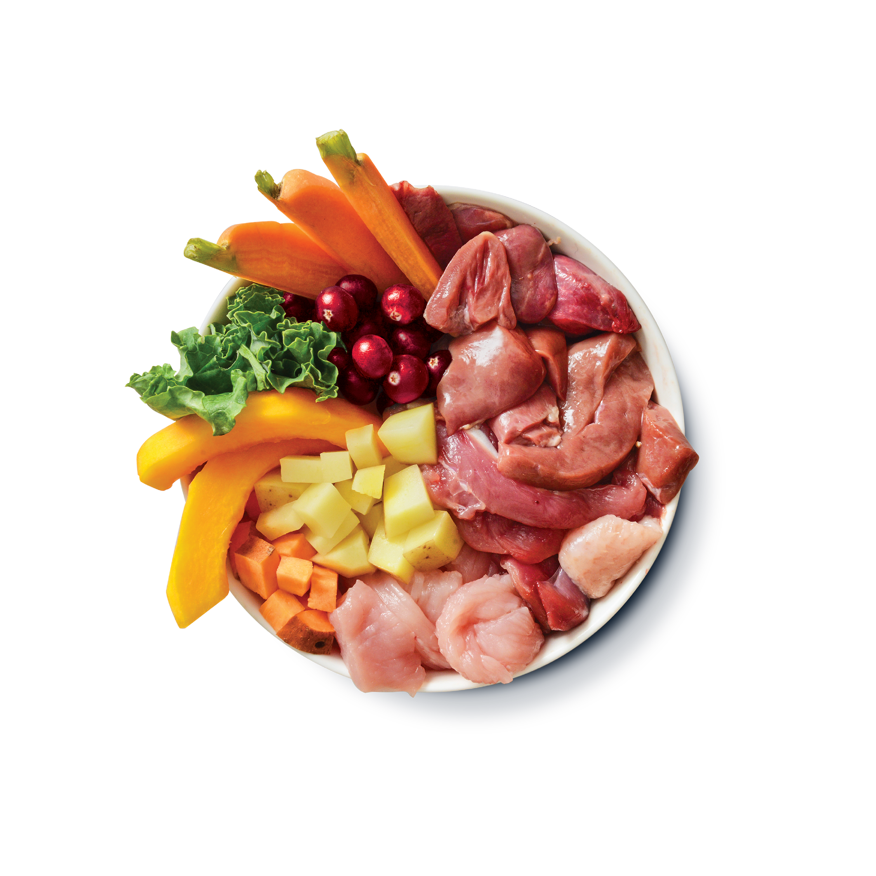 Turkey & Duck Puppy Recipe (6 x 400g)
